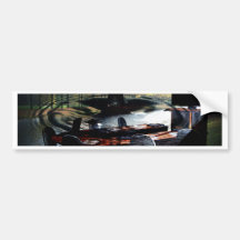 ENVIRONMENTAL RESPONSIBILITY BUMPER STICKERS