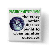 Environmentalism Defined Pinback Button