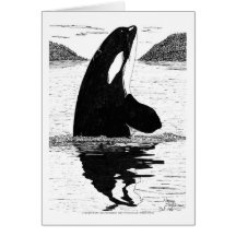 Épaulard, à l'encre carte de vœux