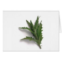 Epazote Greeting Cards