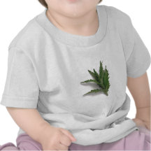 Epazote Tee Shirt