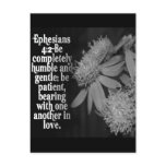 EPESIANS 4:2 LOVE - FAVORITE SCRIPTURE POSTCARDS
