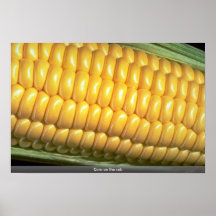 Épi de maïs posters