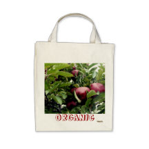 Épicerie organique de pommes sac