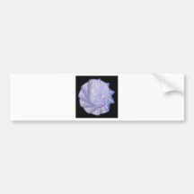 Epiphanies Series Bumper Sticker