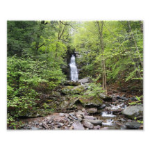 Épreuve photographique cachée de la cascade 10x8