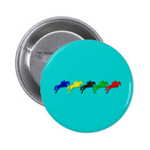 Equestrian dressage and show jumping horse