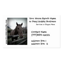 Equestrian Horse Stables or Boarding Business Card Templates