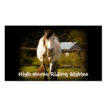 Equestrian Horseback Riding Sport Business Card Templates