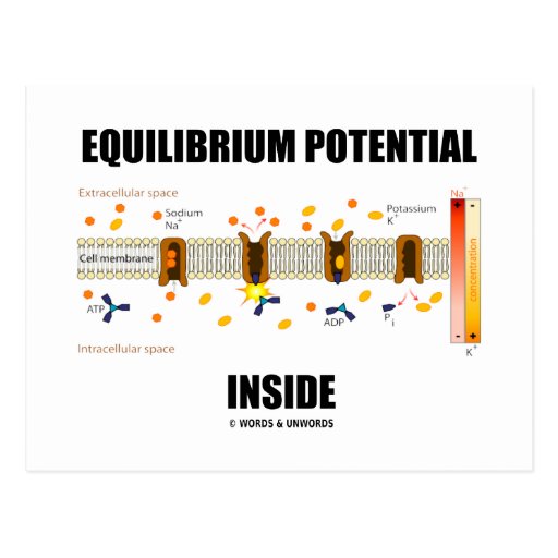 Equilibrium Potential Inside (Active Transport) Postcards