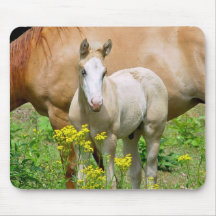 Equine Art Mouse Pad