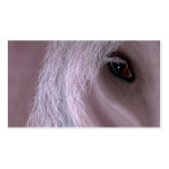 equine business cards