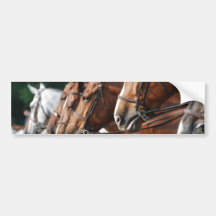 Equine Horse Show Bumper Sticker