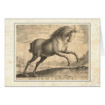 Equus Regius Renaissance Stallion Stradanus Card