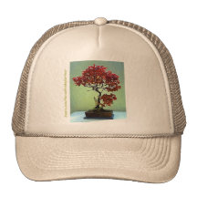 Érable japonais casquette