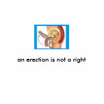 erection, an erection is not a right t-shirts