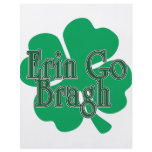 Erin Go Bragh v2 Full Color Flyer