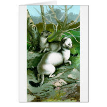 Ermine Card