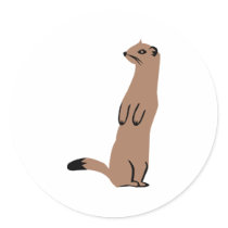 Ermine - Stoat - Weasel Round Stickers