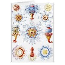 Ernst Haeckel Colourful Siphonophorae 2 Greeting Card