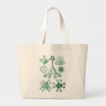 Ernst Haeckel Green Stauromedusae Tote Bags