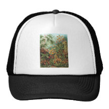 Ernst Haeckel Muscinae Mesh Hat