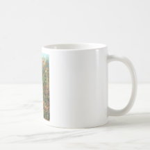 Ernst Haeckel Muscinae Mugs