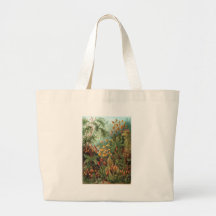 Ernst Haeckel Muscinae Tote Bag