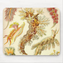 Ernst Haeckel - Nudibranchia Detail Mouse Pad