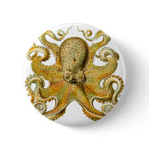 Ernst Haeckel's Octopus Pinback Button