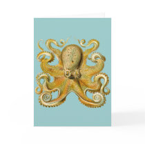 Ernst Haeckel's Octopus Cards