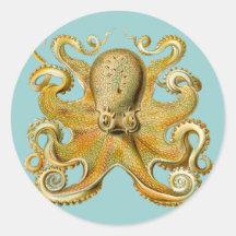 Ernst Haeckel's Octopus Round Stickers