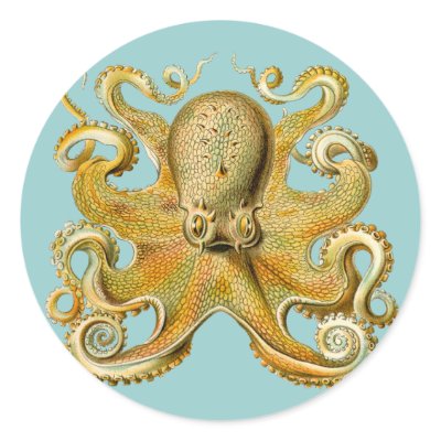 Ernst Haeckel's Octopus Round Stickers by MyOtherPlanet