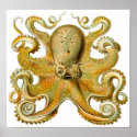 Ernst Haeckel's Octopus Vintage Art Poster posters