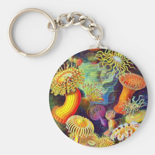 Ernst Haeckel's Sea Anemones Key Chains