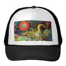 Ernst Haeckel's Sea Anemones Trucker Hats