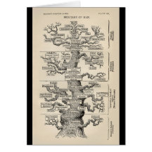 Ernst Haeckel's "tree of life" Card