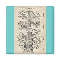 Ernst Haeckel's "tree of life" Magnets