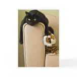 Ersatz Cats Notecard