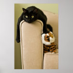 Ersatz Cats Poster