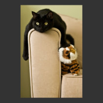 Ersatz Cats Poster posters