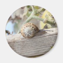 Escargot Aimants Pour Réfrigérateur