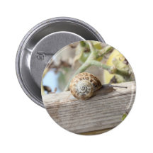 Escargot Badges