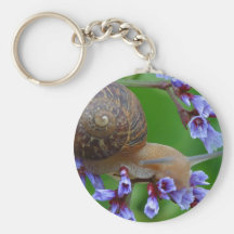 Escargot sur des fleurs porte-clefs