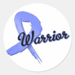 Esophageal Cancer Warrior Stickers