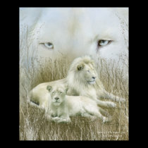 Esprit de l'affiche/de copie blanches d'art de lio affiches