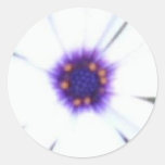 Essence of  flower Sticker