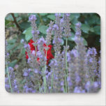 Essence of Provence Mouse Pad