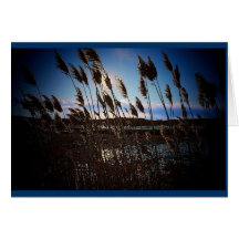 Essex Reeds Card
