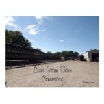 Essex Steam Train Postcards